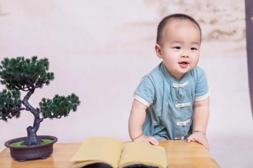 南充可爱的企鹅宝宝